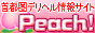 風俗店情報サイト「ラブギャラリー風俗店情報